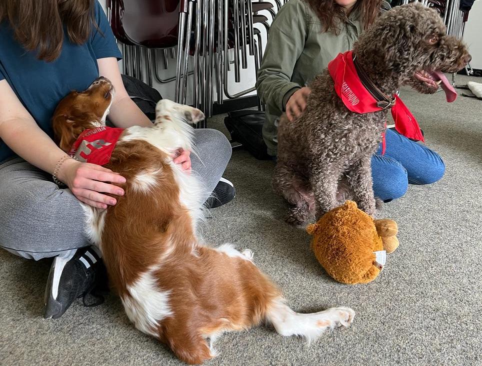 Keanu and Janca during an animal-assisted therapy session