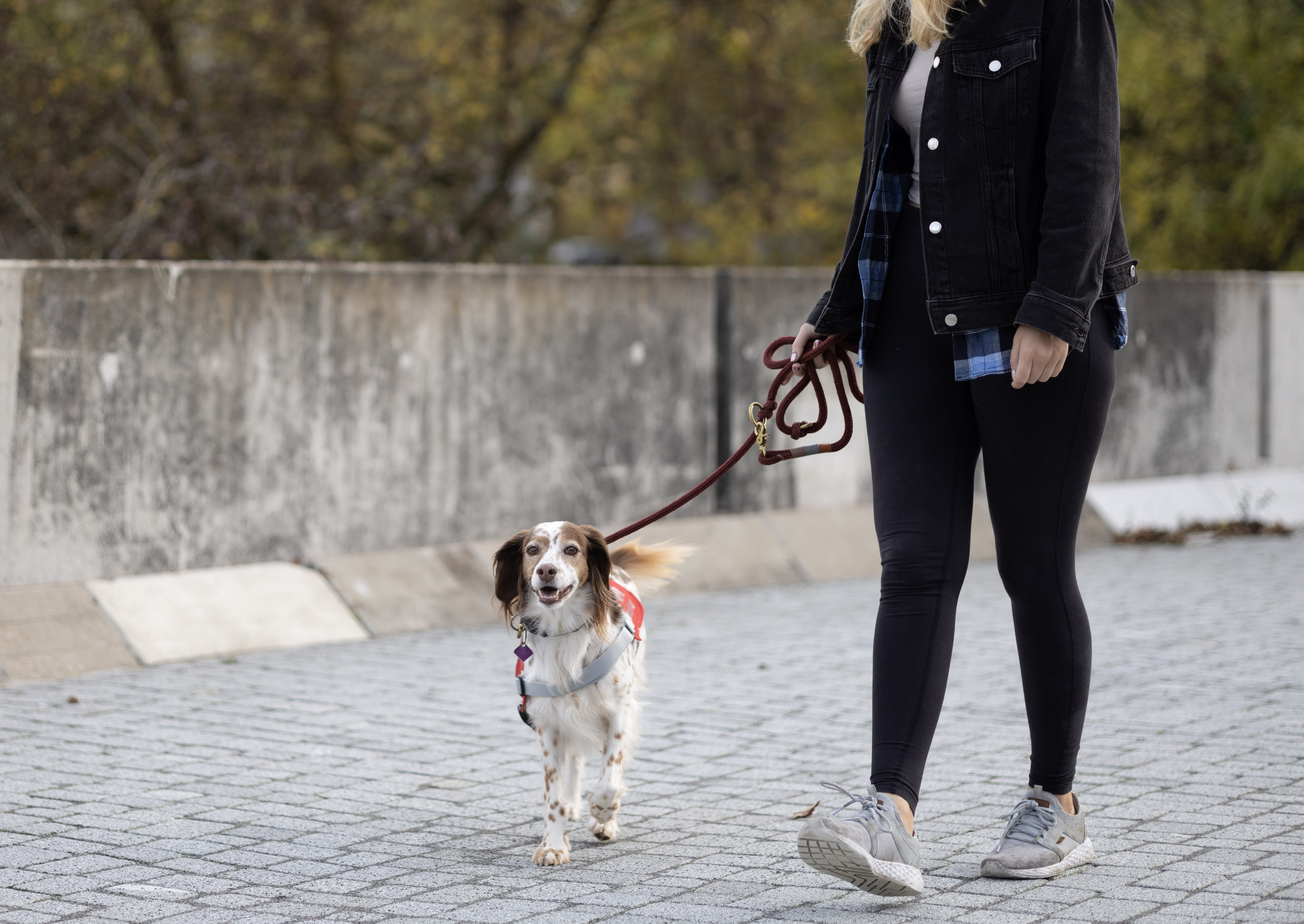 Lakota accompanying a student on the way to her exam