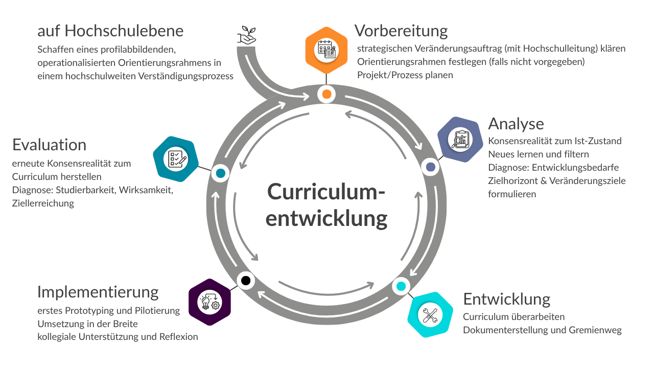 Kreisdiagramm zur Curriculum-entwicklung